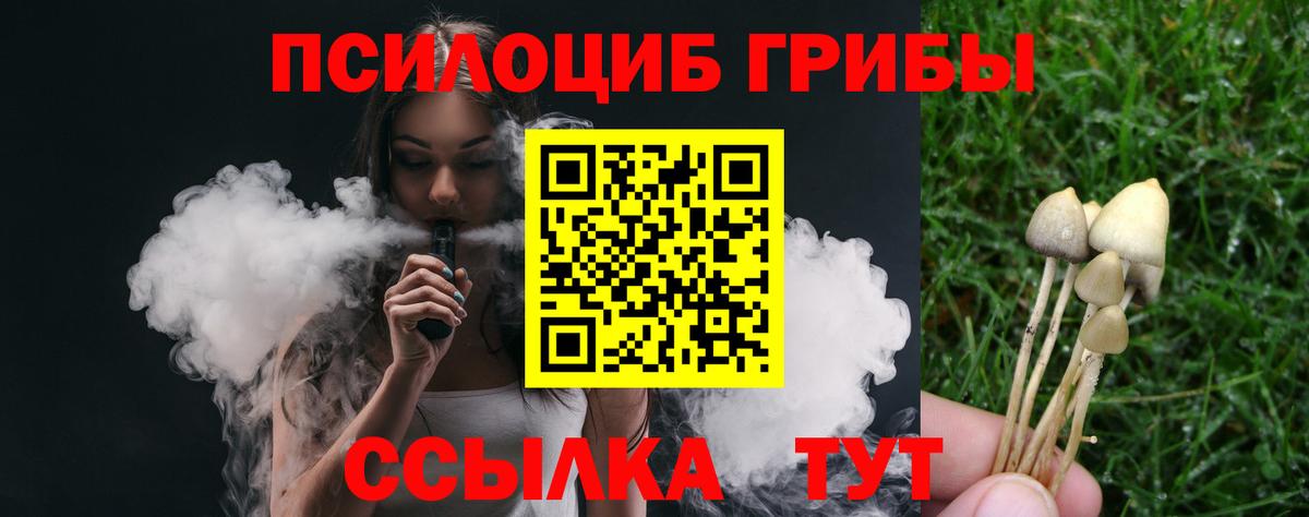 Галлюциногенные грибы ЛСД Елец
